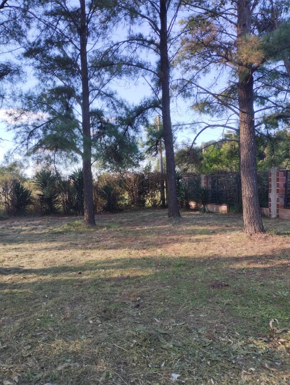 Terreno de 210 m2 en venta con servicios