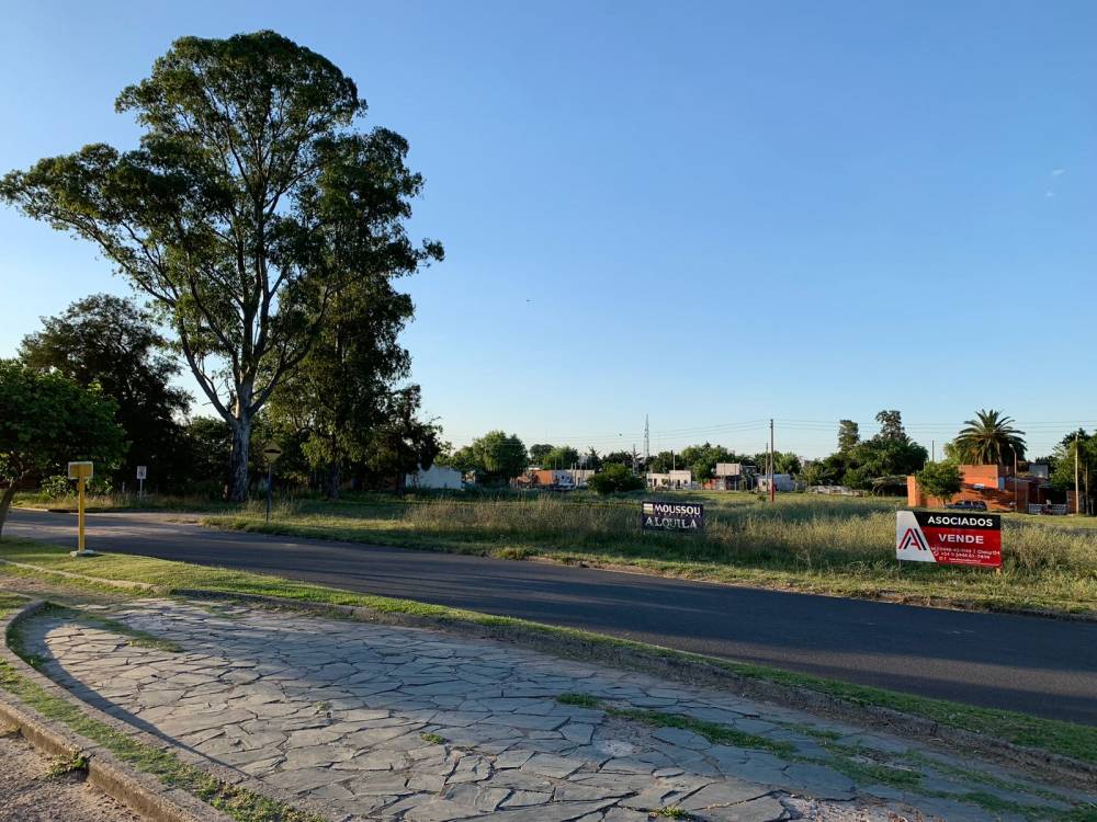 TERRENO DE 2431 M2 SOBRE AVENIDA PARQUE - (AV. CÁNDIDO IRAZUSTA)
