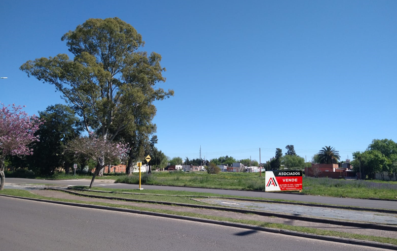 TERRENO DE 2431 M2 SOBRE AVENIDA PARQUE - (AV. CÁNDIDO IRAZUSTA)