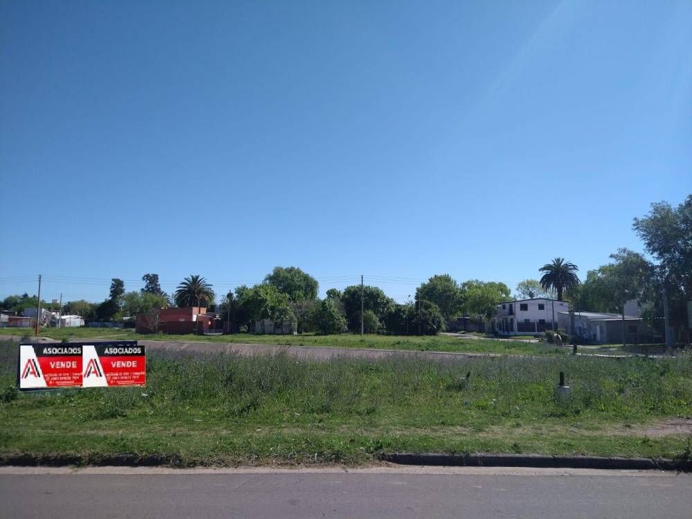 TERRENO DE 2431 M2 SOBRE AVENIDA PARQUE - (AV. CÁNDIDO IRAZUSTA)
