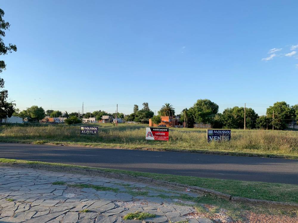 TERRENO DE 2431 M2 SOBRE AVENIDA PARQUE - (AV. CÁNDIDO IRAZUSTA)