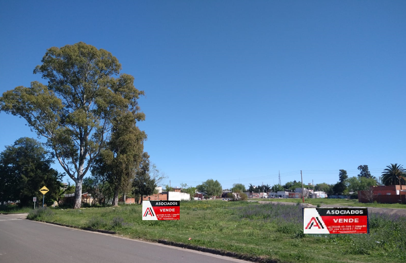 TERRENO DE 2431 M2 SOBRE AVENIDA PARQUE - (AV. CÁNDIDO IRAZUSTA)
