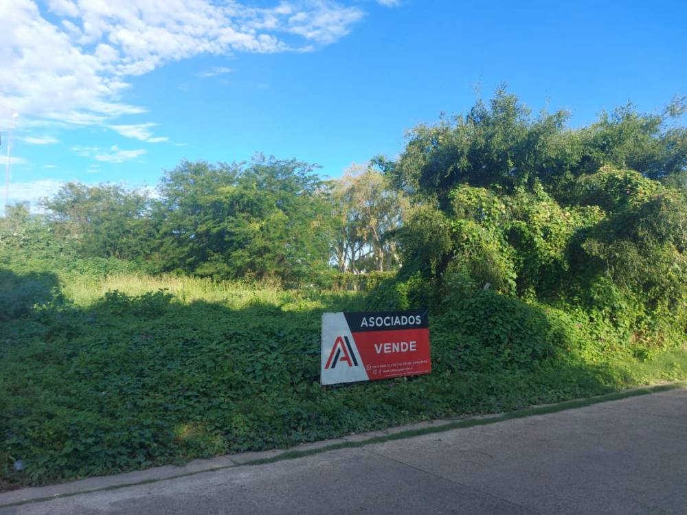 TERRENO DE 659 M2 SOBRE CALLE CASEROS