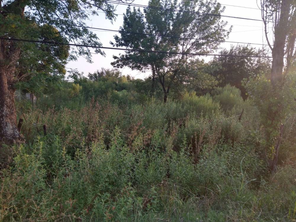 TERRENO DE 750 M2 - URQUIZA AL OESTE PARADA 6