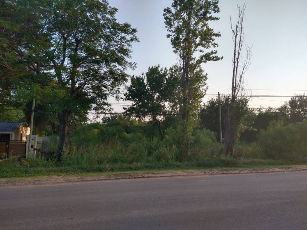 TERRENO DE 750 M2 - URQUIZA AL OESTE PARADA 6