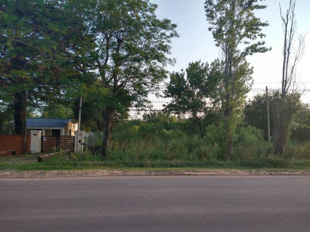 TERRENO DE 750 M2 - URQUIZA AL OESTE PARADA 6