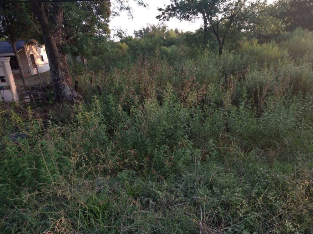 TERRENO DE 750 M2 - URQUIZA AL OESTE PARADA 6