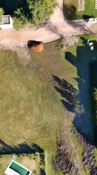 Terreno en Prados de la Adelina – 1250 m² con seguridad, naturaleza y comodidades