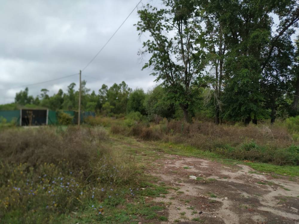 Terreno de 300 m² - Loteo Conde, Puerta del Pinar.