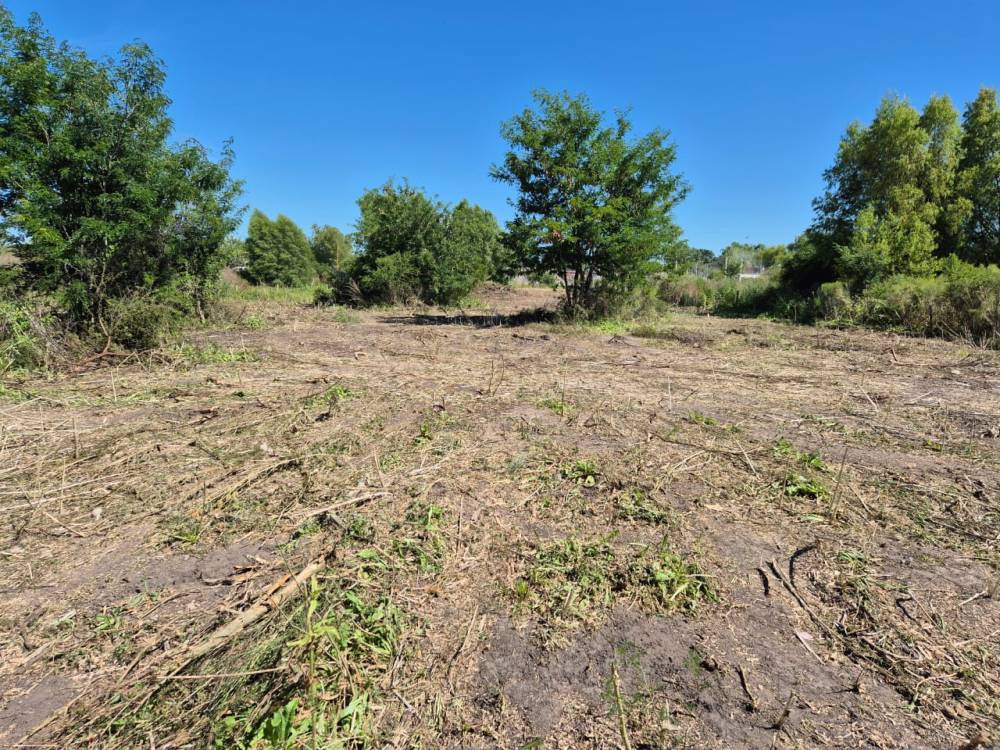 Terreno en venta – 4.000 m² en zona en crecimiento