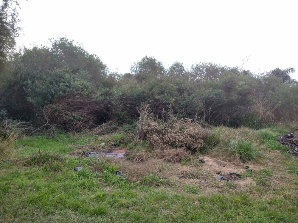 TERRENO SOBRE COLECTORA - AUTOVÍA RUTA 14 - A 600 M DEL ACCESO A SAN JOSÉ