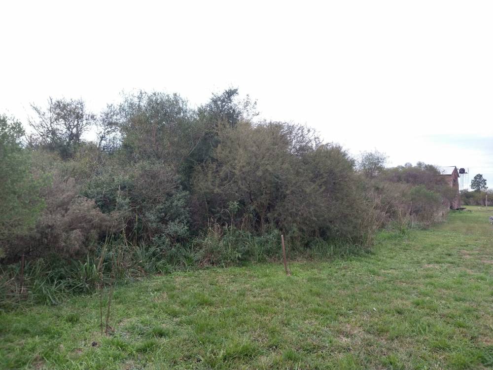 TERRENO SOBRE COLECTORA - AUTOVÍA RUTA 14 - A 600 M DEL ACCESO A SAN JOSÉ