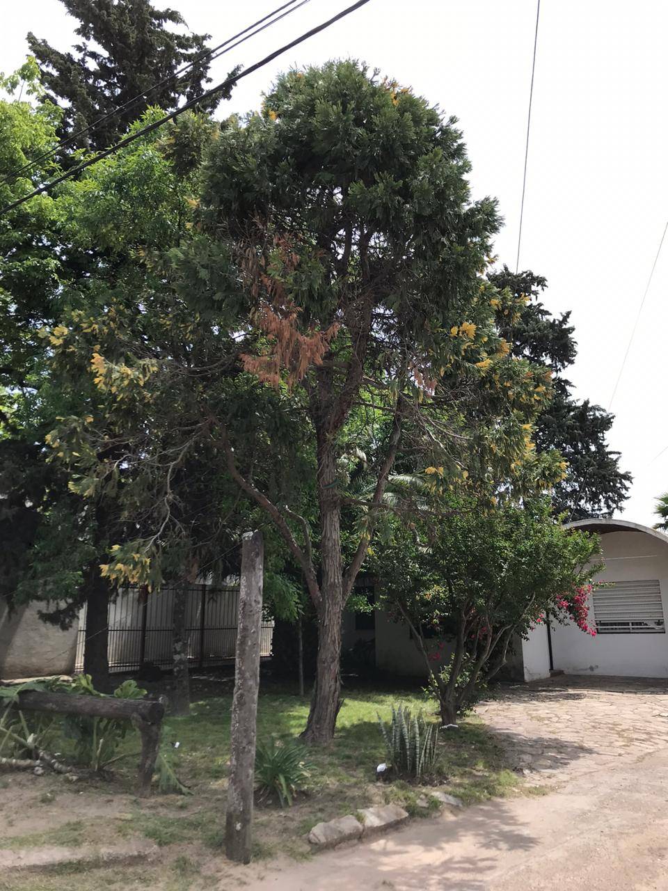 Casa y galpón en Venta - Barrio Parma. Sobre calle Urquiza