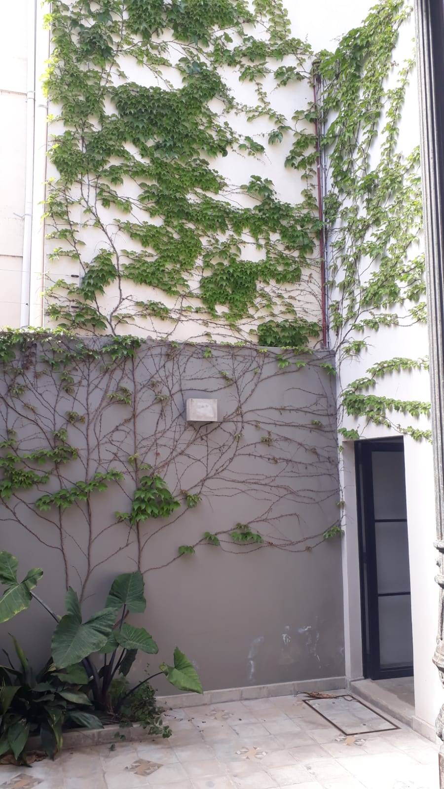 Venta de PH con 3 unidades funcionales - zona centro de Gualeguaychú