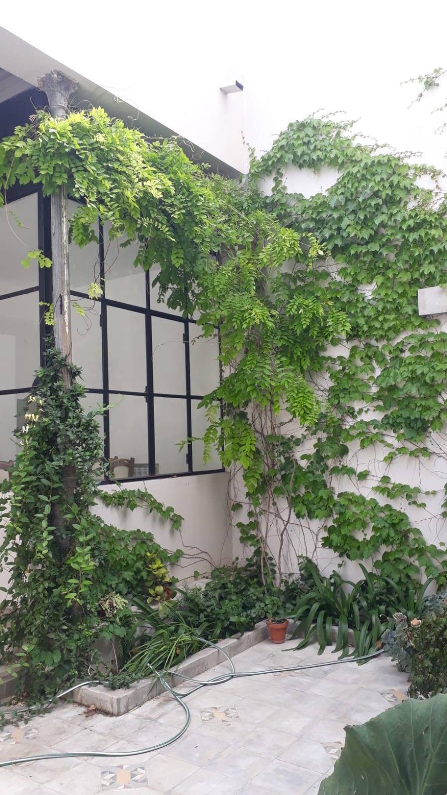 Venta de PH con 3 unidades funcionales - zona centro de Gualeguaychú