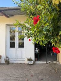 Amplia casa con dos departamentos – Zona céntrica de Gualeguaychú