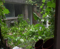 Casa de categoría con vista a la plaza San Martín, Gualeguaychú