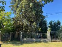 Casa en Pueblo Belgrano con amplio terreno y posibilidad de refacción