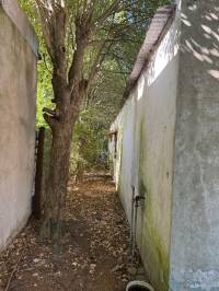 Casa en Pueblo Belgrano con amplio terreno y posibilidad de refacción