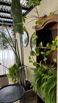 Casa moderna en venta en Pueblo Belgrano