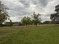 Chacra en venta con mas de 4.000 m² y arboles pecanes