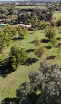 Chacra en venta con mas de 4.000 m² y arboles pecanes