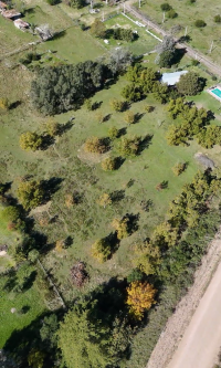 Chacra en venta con mas de 4.000 m² y arboles pecanes