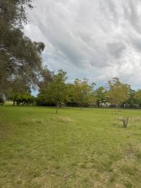 Chacra en venta con mas de 4.000 m² y arboles pecanes
