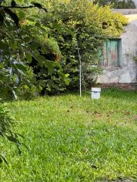 En pleno centro: cómoda casa con gran terreno y patio