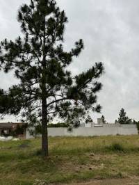 Venta de terreno en Pueblo Belgrano 