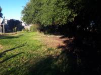 Terreno con Arboleda y Frutales – 300 m² de Naturaleza 