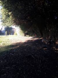 Terreno con Arboleda y Frutales – 300 m² de Naturaleza 