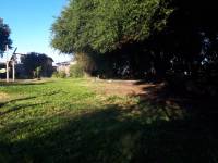 Terreno con Arboleda y Frutales – 300 m² de Naturaleza 