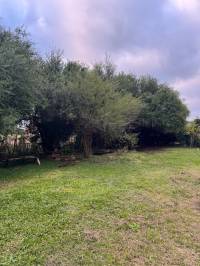 Terreno con Arboleda y Frutales – 300 m² de Naturaleza 