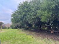 Terreno con Arboleda y Frutales – 300 m² de Naturaleza 