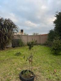 Terreno con Arboleda y Frutales – 300 m² de Naturaleza 