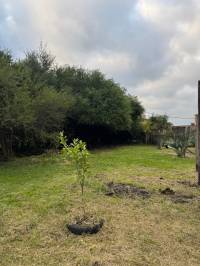 Terreno con Arboleda y Frutales – 300 m² de Naturaleza 