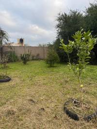Terreno con Arboleda y Frutales – 300 m² de Naturaleza 